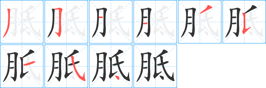 胝的笔顺分步演示