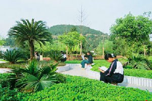 盐亭职业技术学校环境