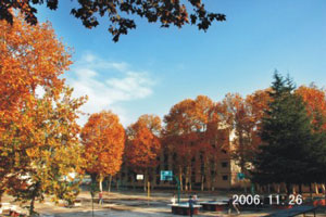 绵阳机电工程学校环境 绵阳机电工程学校环境