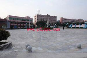 遂宁市安居职业高级中学校环境 遂宁市安居职业高级中学校环境
