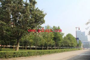 阆中东南航空职业学校环境