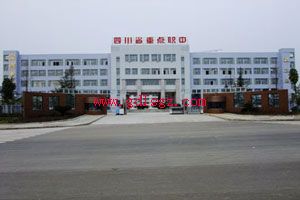 阆中江南高级职业中学环境 阆中江南高级职业中学环境