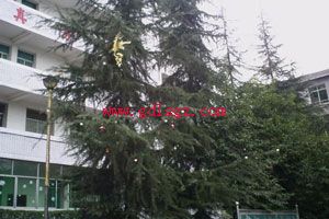 内江泰来职业学校环境 内江泰来职业学校环境