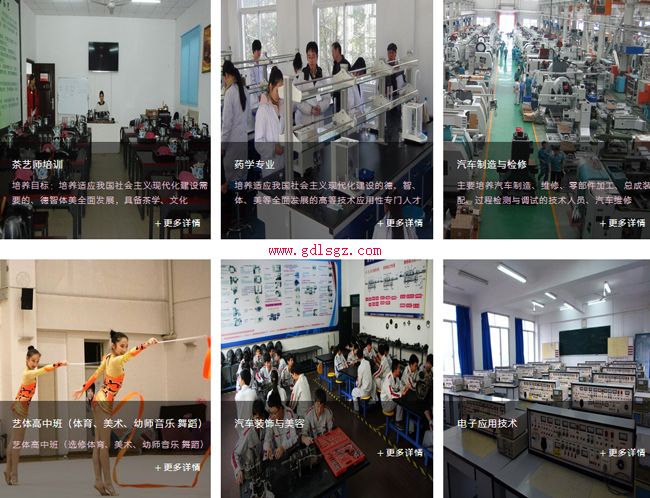 峨眉山市旅游学校专业设置