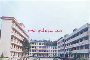 井研县高级职业中学环境