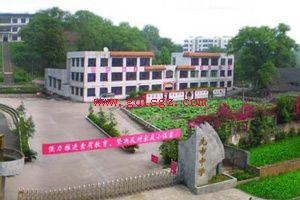 合江先市职业高级中学校2023年招生简章