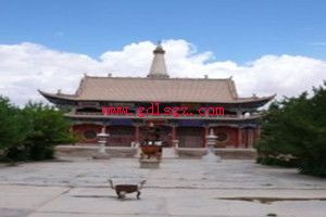 陇南地区农业技术学校图片