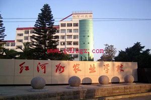 红河州农业学校图片 红河州农业学校图片