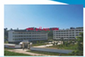 陇川县职业高级中学图片