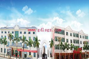 瑞丽国际珠宝翡翠学校图片 瑞丽国际珠宝翡翠学校图片