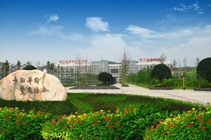 四川省服装艺术学校图片