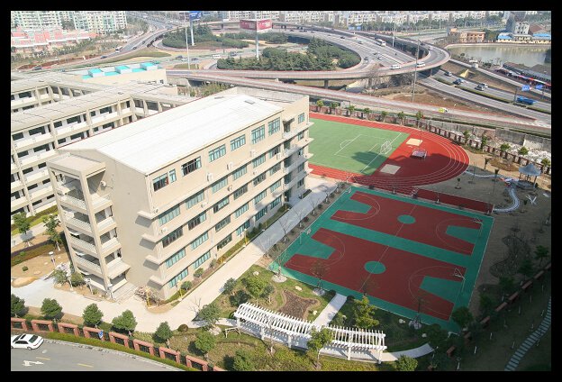 上海市洋泾中学(南校)图片