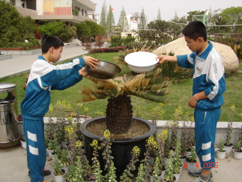 杭州市启航中学（原和睦中学）图片