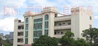 紫金县九和中学图片