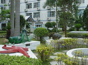 深圳市滨河中学图片