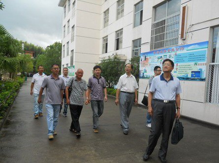 温州泰顺县新城学校图片