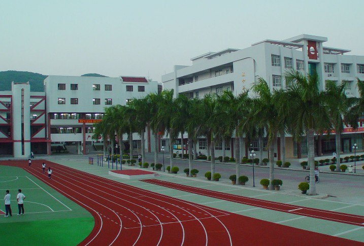 汕头市潮阳林百欣中学图片