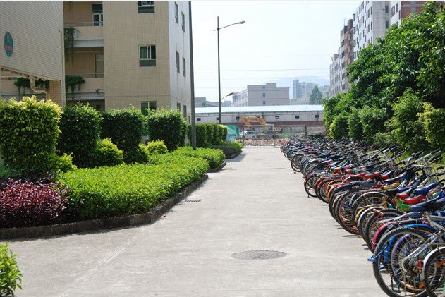 深圳市龙岗区南联学校小学部图片