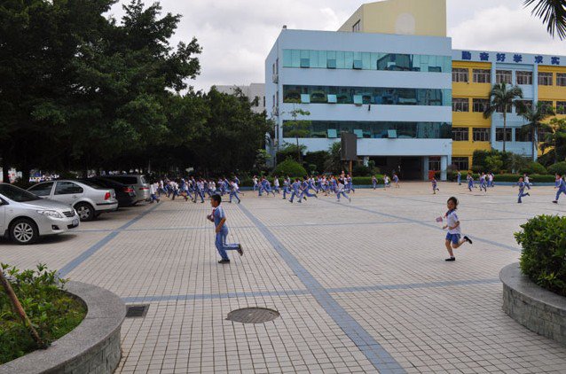 深圳市龙岗区木棉湾小学图片