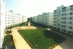 北京市北海中学图片