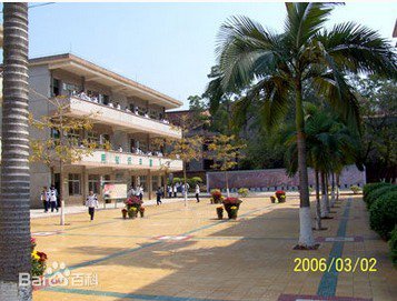 广州市花都区狮岭中学图片