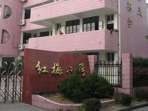 宁波市江北区红梅小学图片