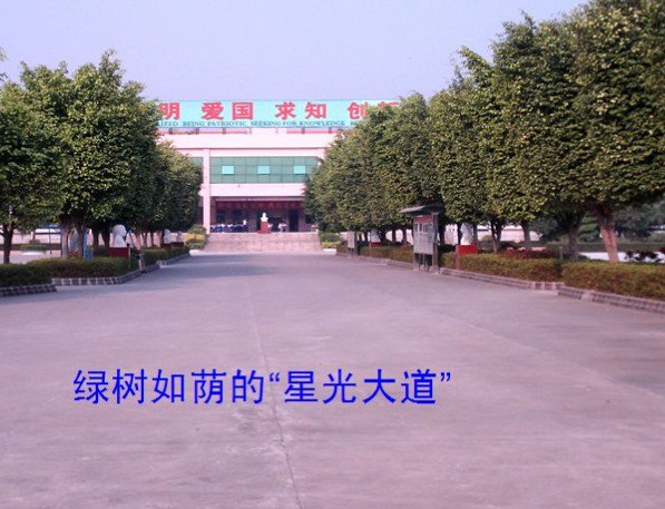 东莞市大朗启东学校图片