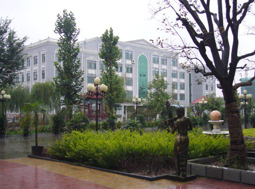 淄博市和平学校（小学部）图片