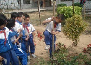 中山市民众镇上网小学图片