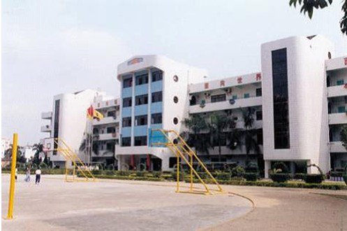 东莞市石龙西湖新亚小学图片