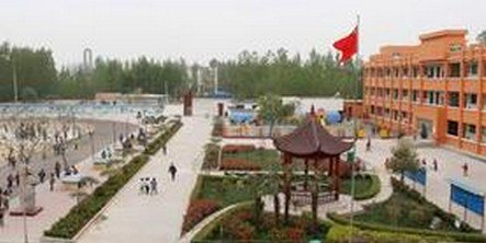 枣庄市峄城区榴园镇中心小学图片