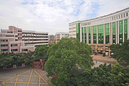广州市天河外国语学校图片