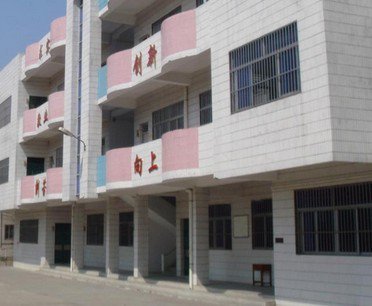 惠州市博罗县石湾中心小学图片