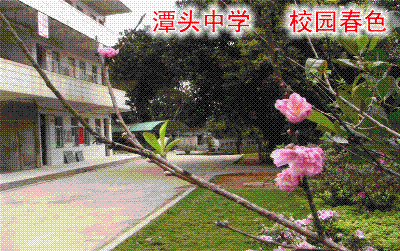 高州市潭头中学图片