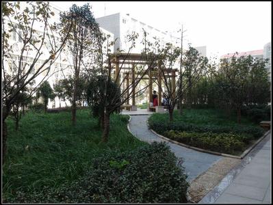 武汉市十一滨江初级中学图片