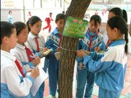 淄博市周村区油坊街小学图片