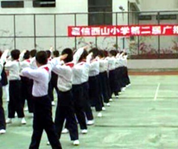 佛山市顺德区嘉信西山小学图片