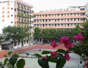 石碁三中|第三中学图片