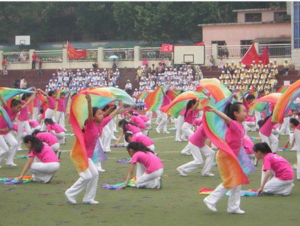 武汉市江夏区第四初级中学图片