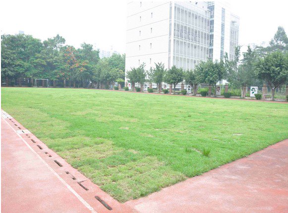 深圳南山外国语学校科苑小学图片