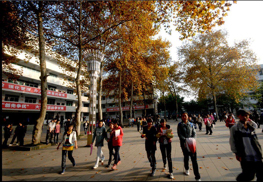 重庆市南川道南中学图片