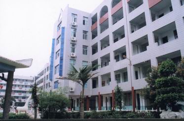 城厢区南门学校图片