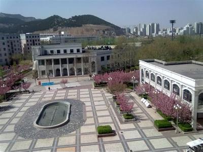泰安市第一实验学校小学部图片