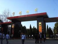 宁都四中|第四中学图片