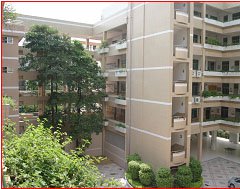 深圳市福田区园岭小学图片