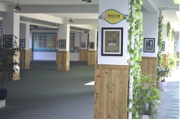 成都市荷花池小学图片