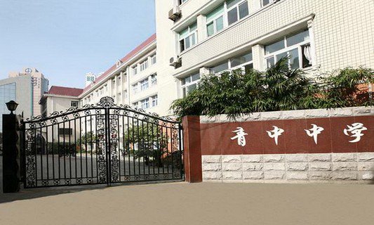 民办青中初级中学图片