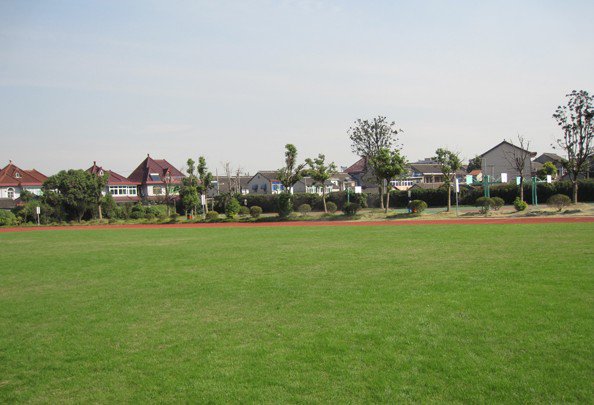 上海市陈伯吹中学图片