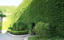 青岛海山学校图片