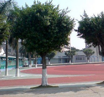 佛山市许海中学图片